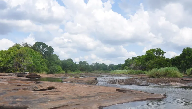 Mozambique-Gile_Guillaume-Chiron-AFD