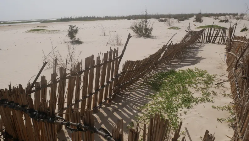 © Céline Damery, Conservatoire du littoral 2019