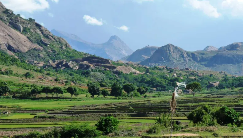 Paysage Madagascar Restitution programme FRB