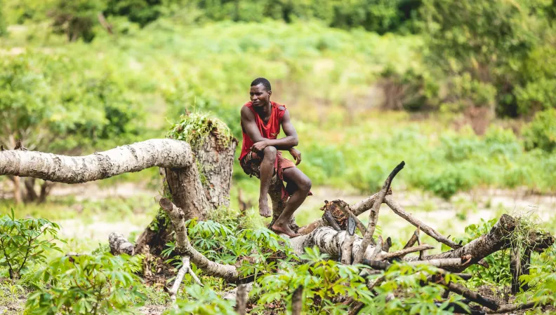 Mettre en pratique la compensation écologique pour concilier développement et biodiversité