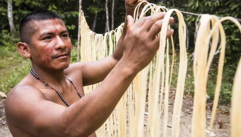 CZZ3112 TerrIndigena