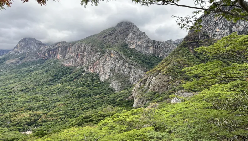 Mozambique_CMZ1157_Chimanimani