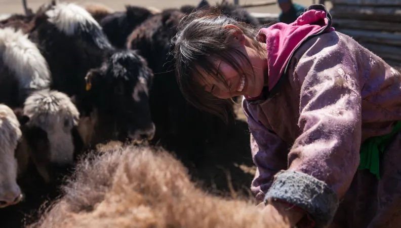 Mongolie Cachemire2