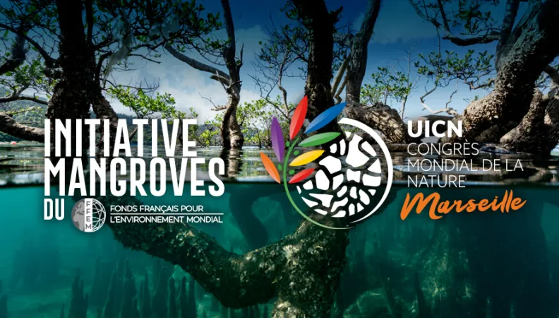 L’initiative mangroves au congrès mondial de la nature (UICN, 2021)
