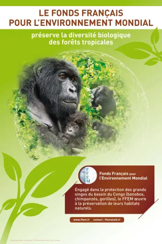 Affiche_ffemGorilles