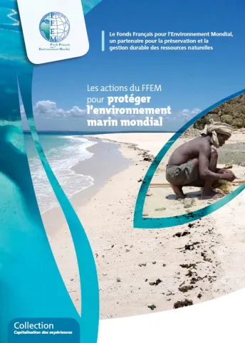Couv Capitalisation AMP_FFEM 092013