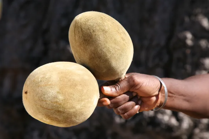 3613 © PhytoTrade Africa