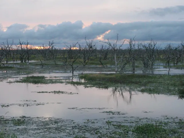 CZZ1683 Gran Chaco © Janique Etienne, FFEM (2)