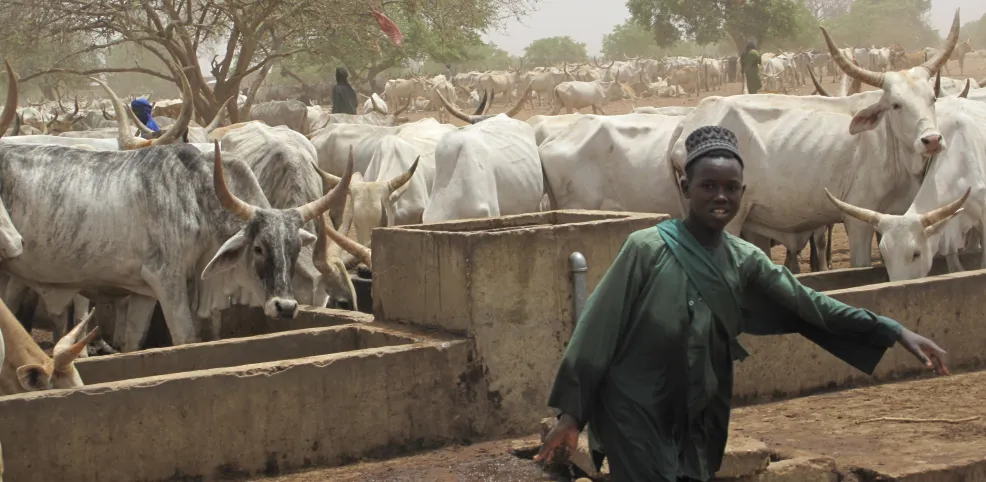 diapo - Lutte contre la désertification par l’appui au pastoralisme dans le Ferlo - Visuel
