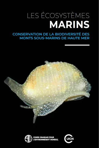 Guide FFEM sur la haute mer et les monts sous-marins