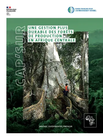 Capitalisation sur une gestion plus durable des forêts de production en Afrique centrale