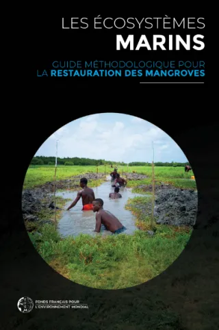 Guide méthodologique pour la restauration des mangroves