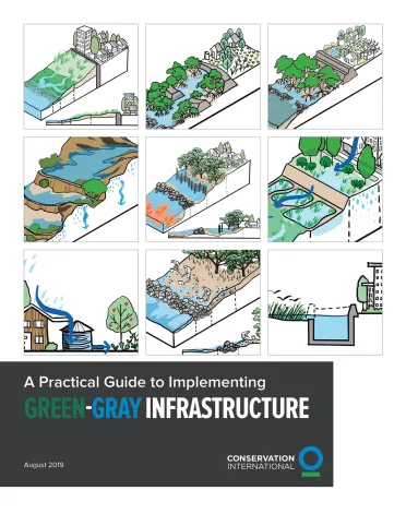 Guide pratique des infrastructures vertes et grises