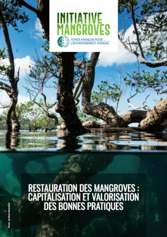 RESTAURATION DES MANGROVES : CAPITALISATION ET VALORISATION DES BONNES PRATIQUES