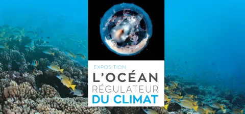 GIZLM-affiche-expo-ocean-regulateur-climat