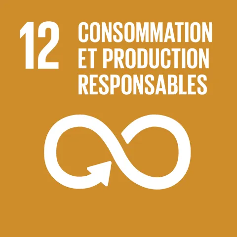 ODD Consommation et production responsables