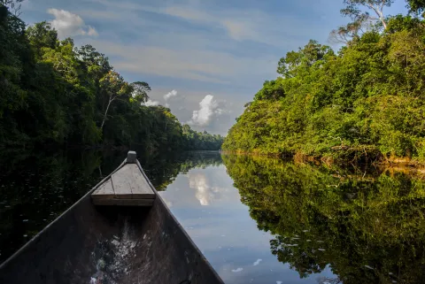 gaia Amazonas pirogue