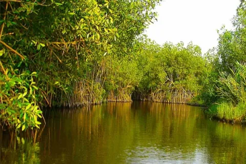 Bénin : sites de Ouidah et de Grand Popo (delta du fleuve Mono)