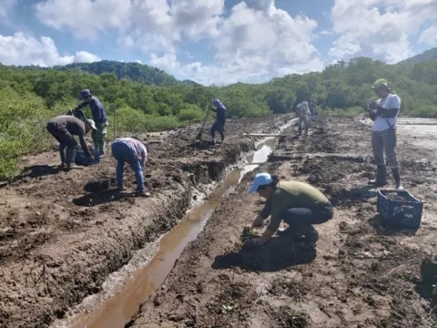 Initiative Mangroves - Projet Coast Rica Benin