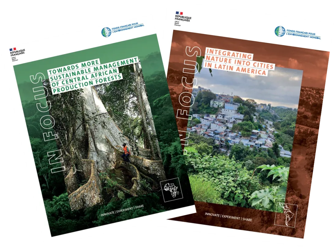 capitalization Forest & nature into cities