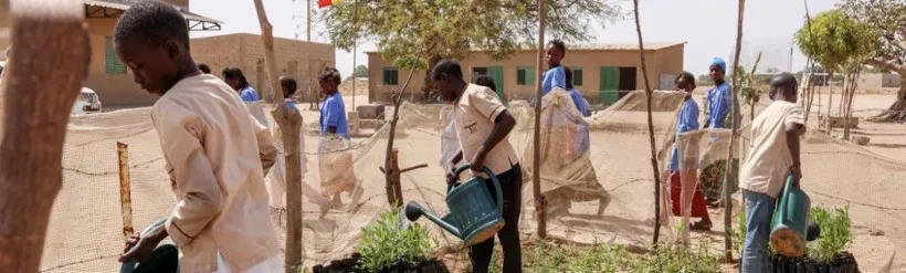 Plantation de mangroves_Association Nebeday
